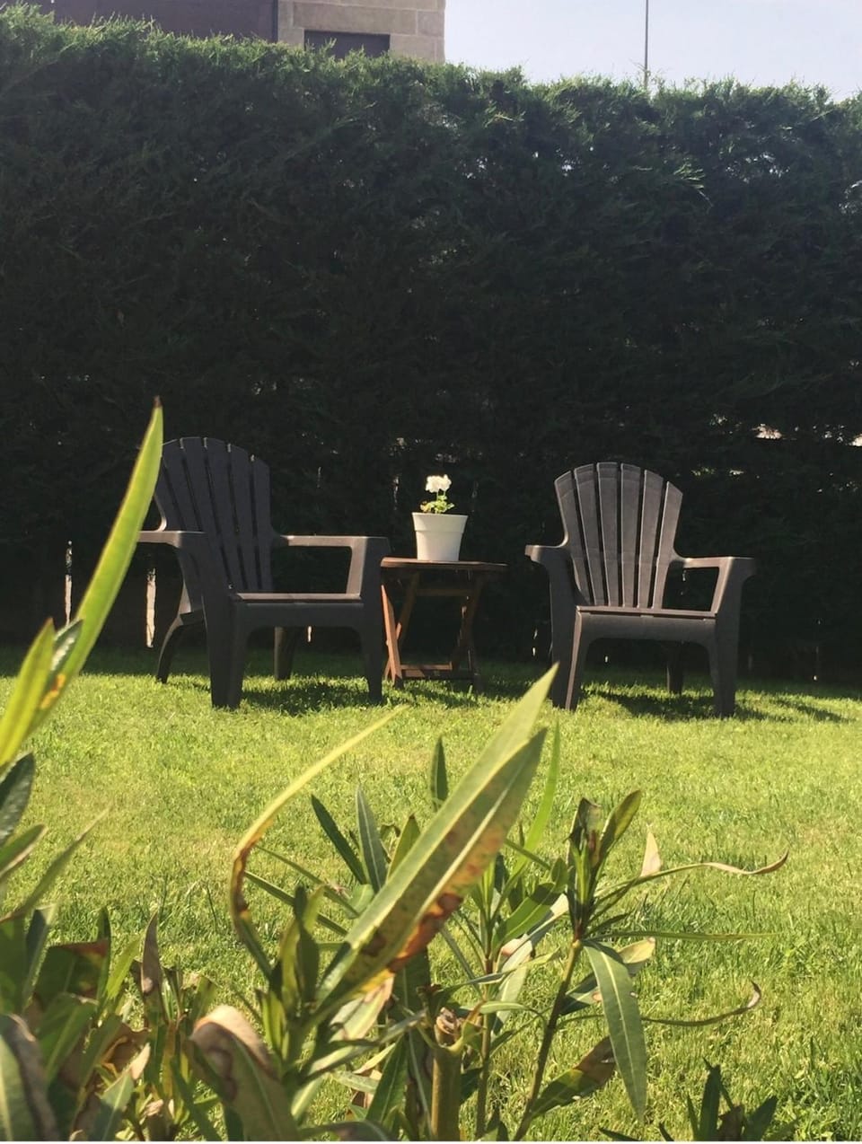 Garden, Balcony/Terrace, Garden view