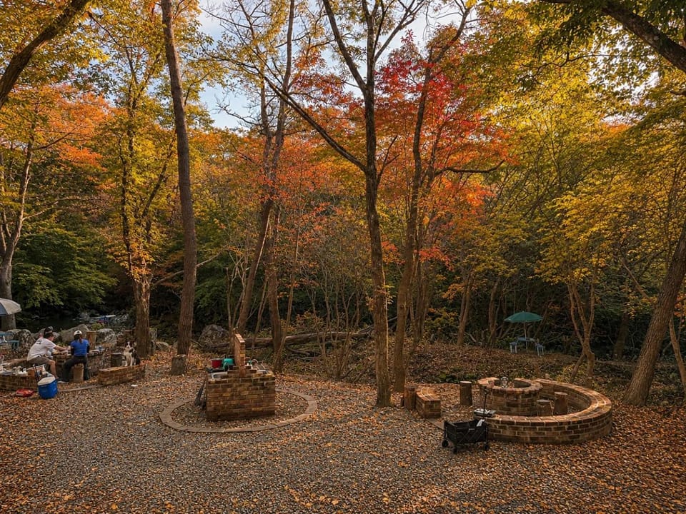 くじゅうみんなの森201号-満天の星空と小川のせせらぎ-一人旅に最適 Apartment in Japan