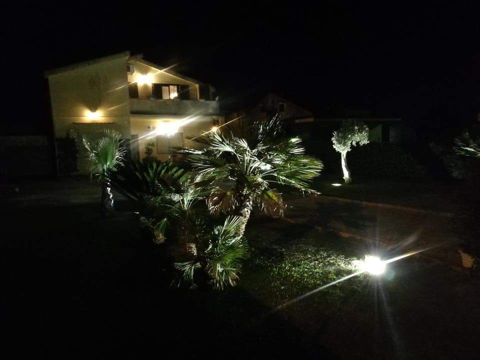 Night, Garden, Garden view