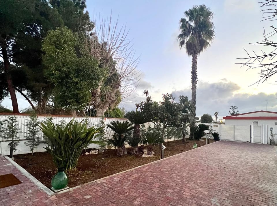 Natural landscape, Garden, Garden view