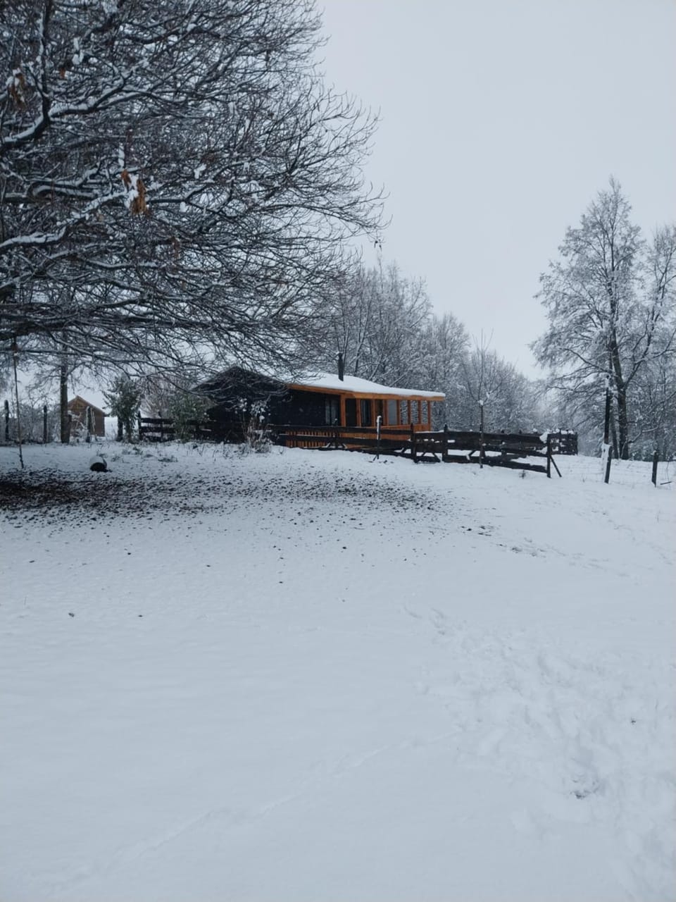 Off site, Garden view
