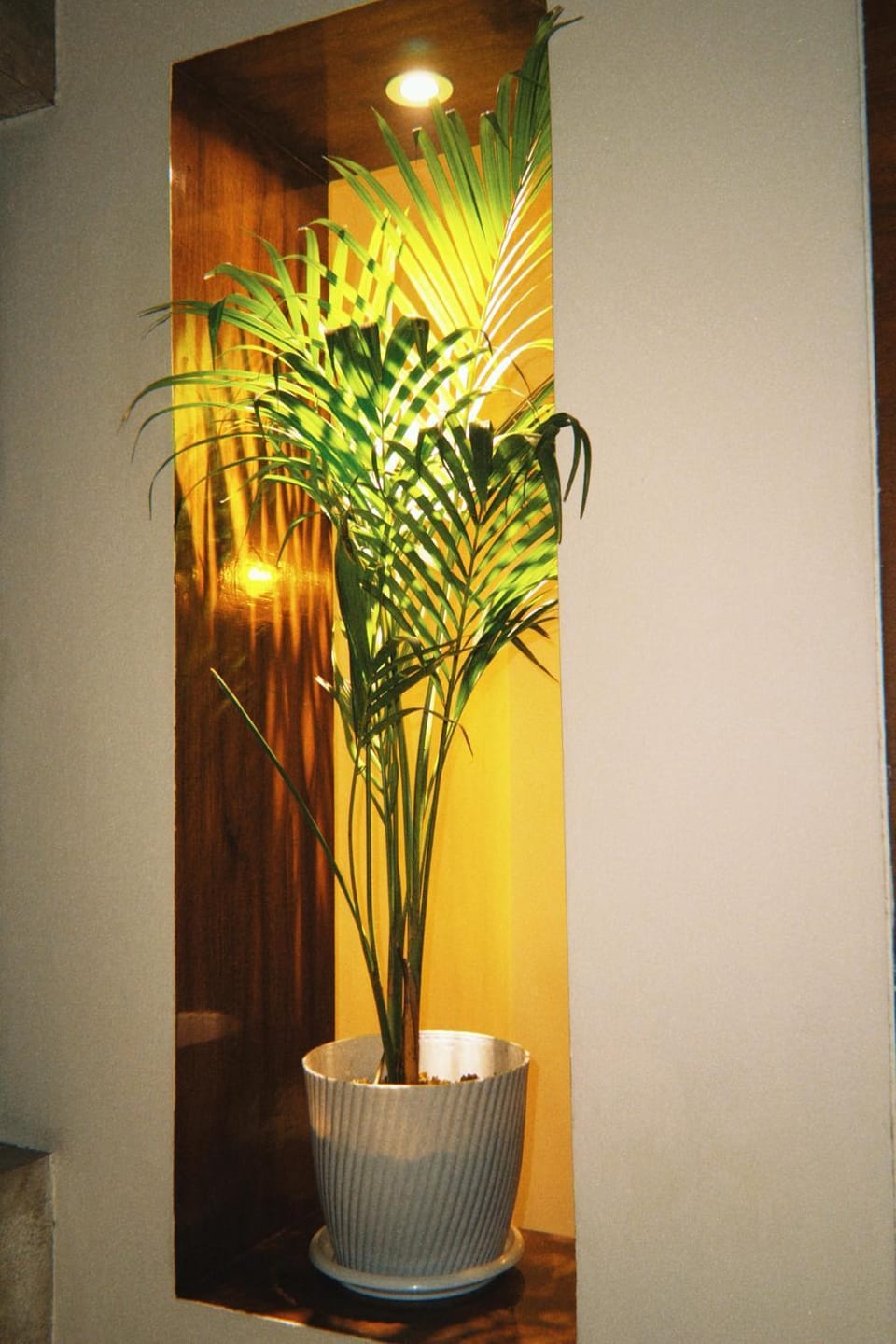 Clover- homestay Apartment in Bangladesh
