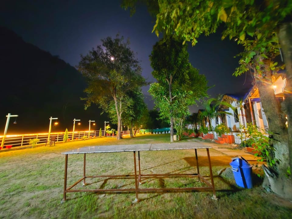 Night, Natural landscape, Garden, Garden view