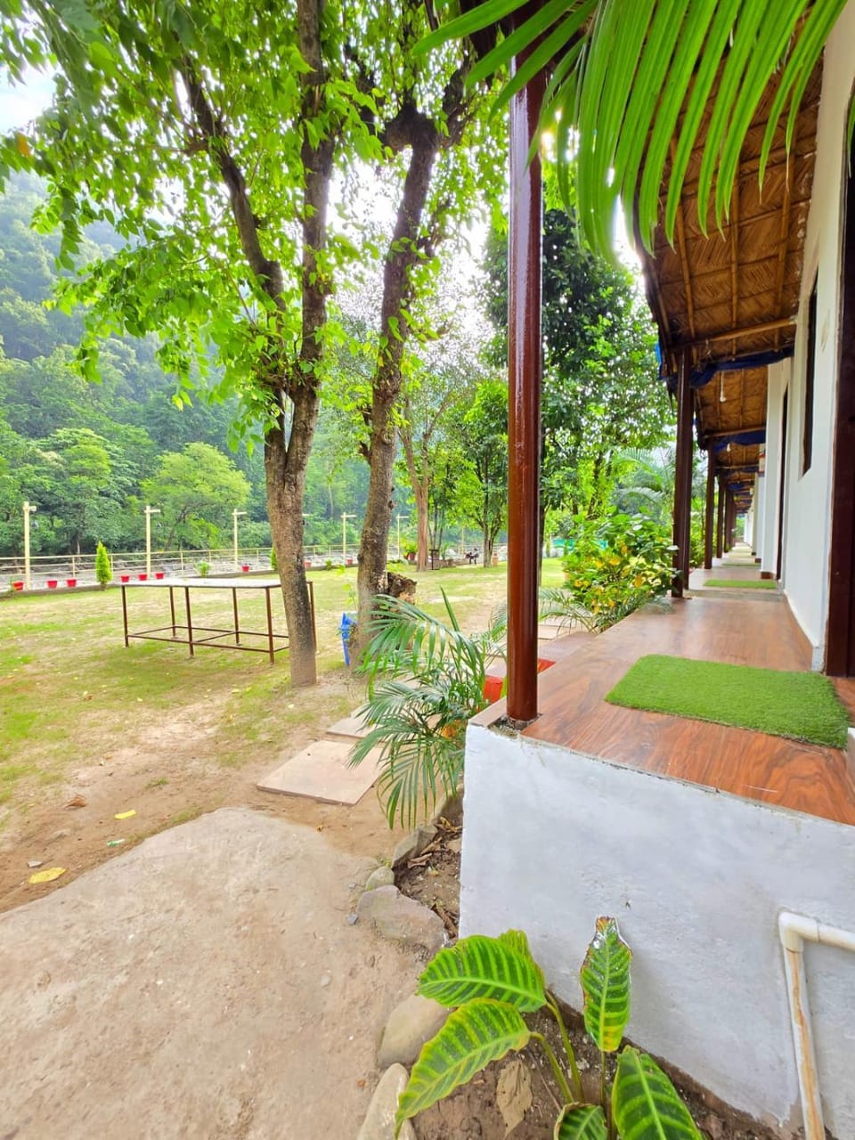 Natural landscape, Garden, Garden view