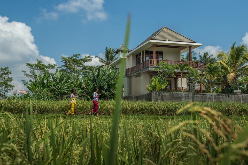 Property building, Day, Natural landscape
