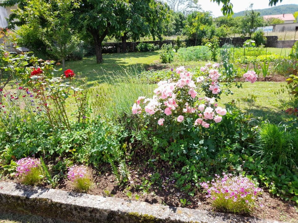 Neighbourhood, Garden