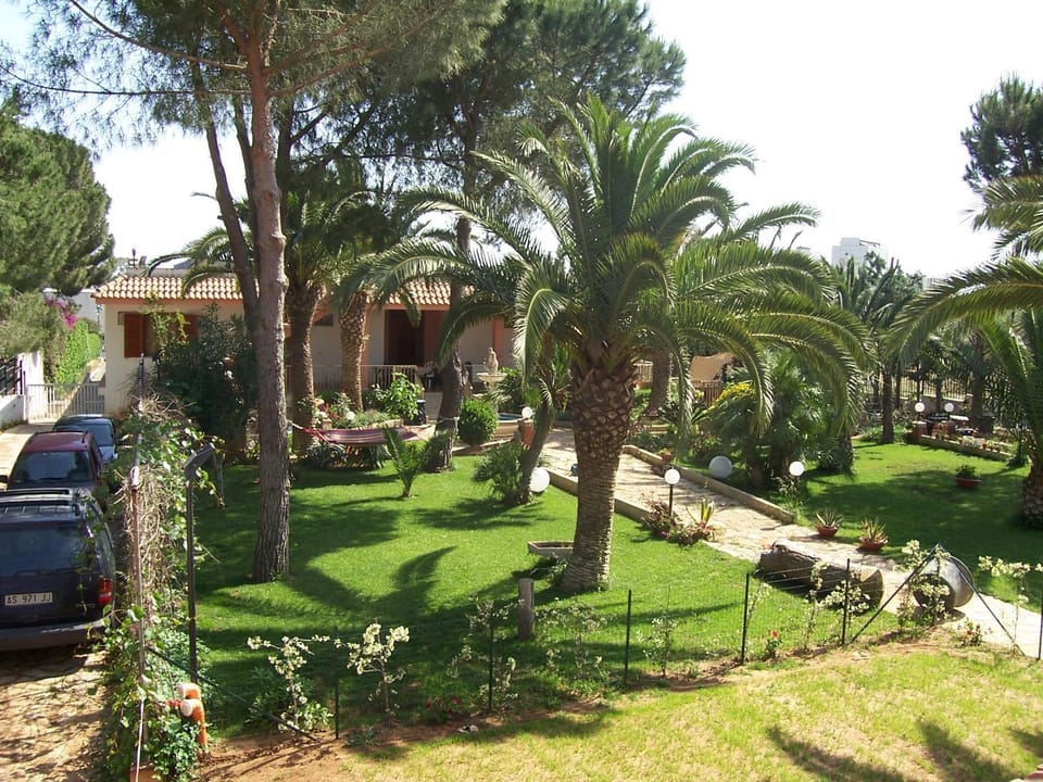 Bird's eye view, Garden