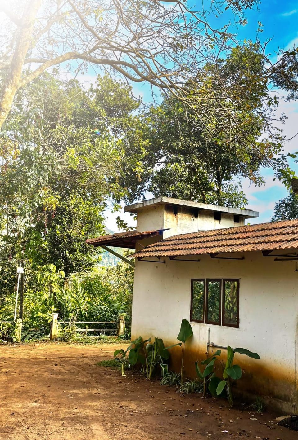 Munnar Valley Cardamom Farm Stay House in Kerala