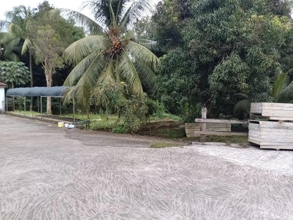 Appartement charmant avec vue sur la rivière à St. Joseph Apartment in Martinique