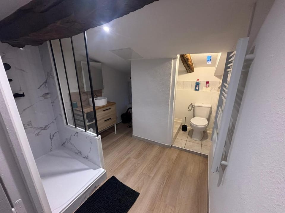 Shower, Bed, Bathroom, Photo of the whole room, Bedroom, wardrobe