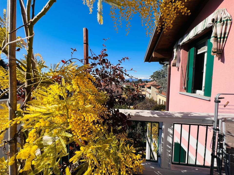 Day, View (from property/room), Balcony/Terrace