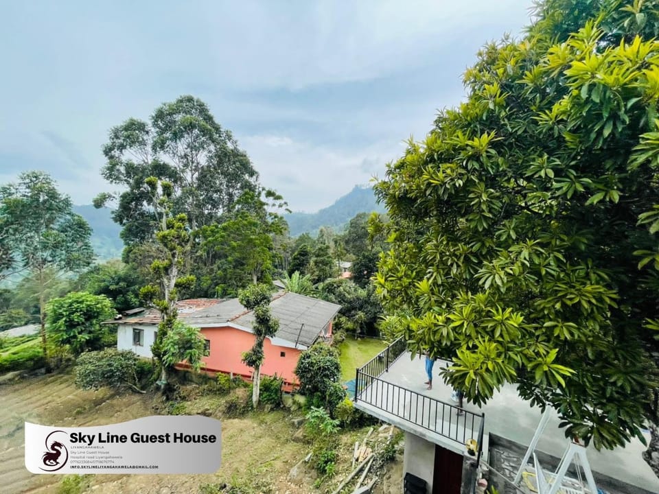 Mountain view