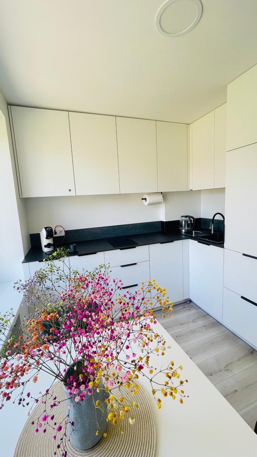 Kitchen or kitchenette, kitchen