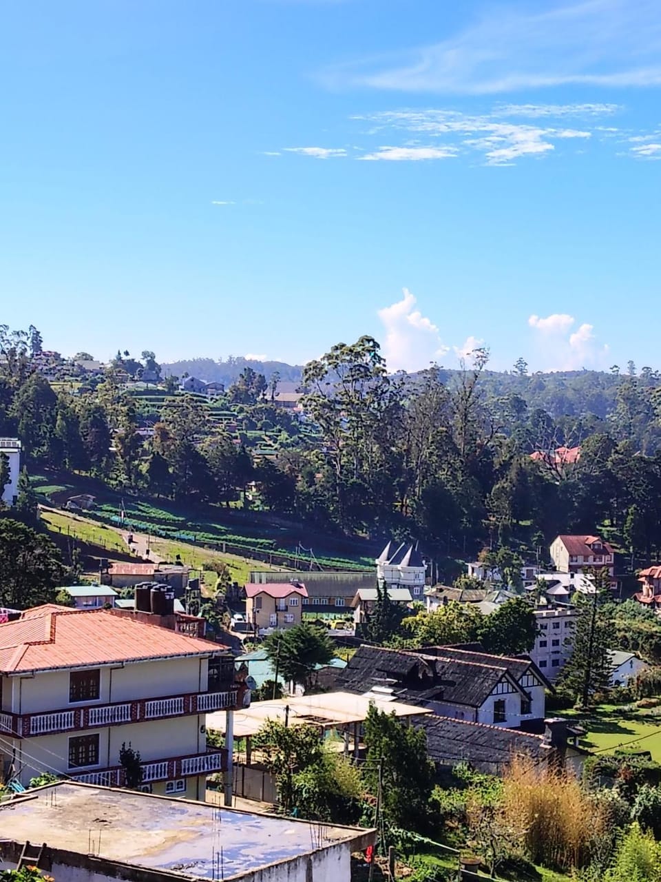 La rose cottage Bed and Breakfast in Nuwara Eliya