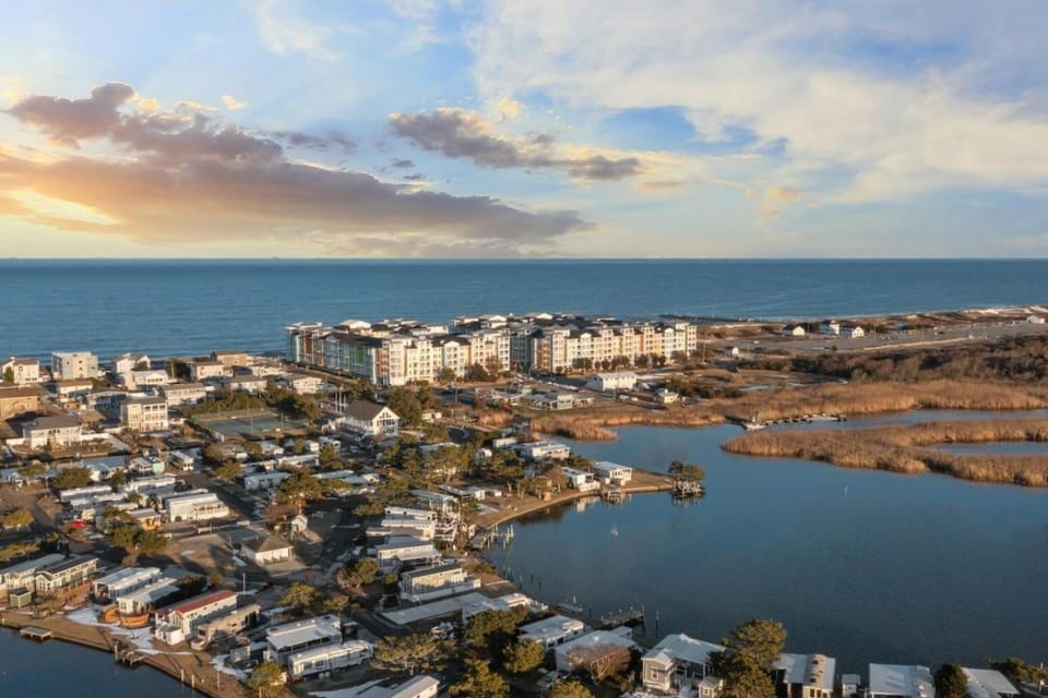 New! Oceanfront Penthouse/ 2 Decks/ Pool/Beach/Gym Apartment in Sandbridge