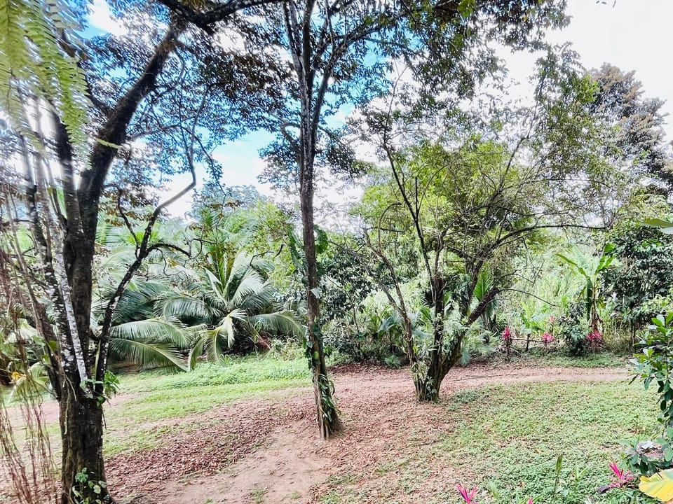 Mayra Campground Campground/ 
RV Resort in San José Province