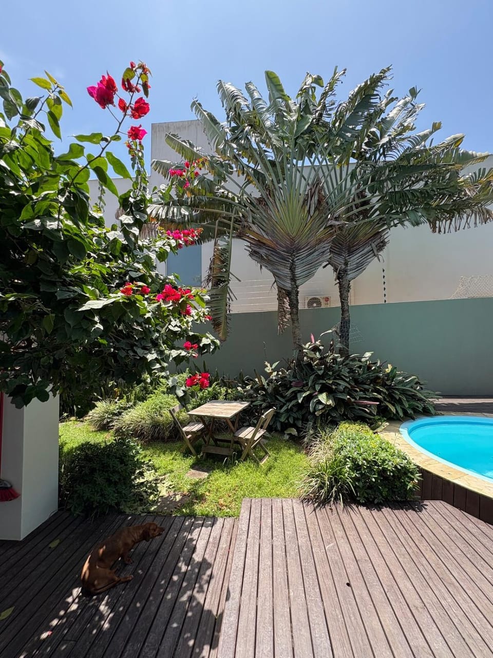 Guest house with pool Apartment in Florianopolis