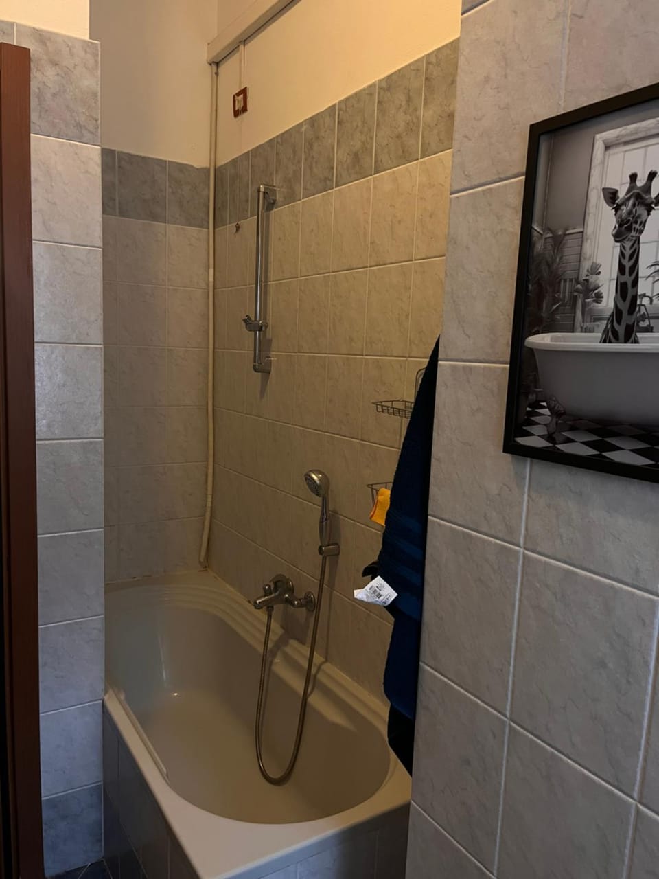 Ampio ed elegante bilocale Apartment in Milan