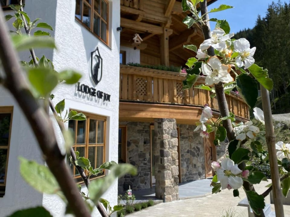 Property building, Summer