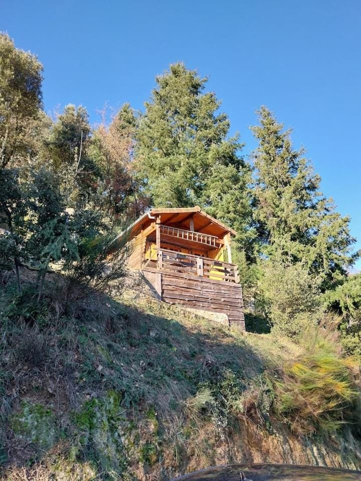 Natural landscape
