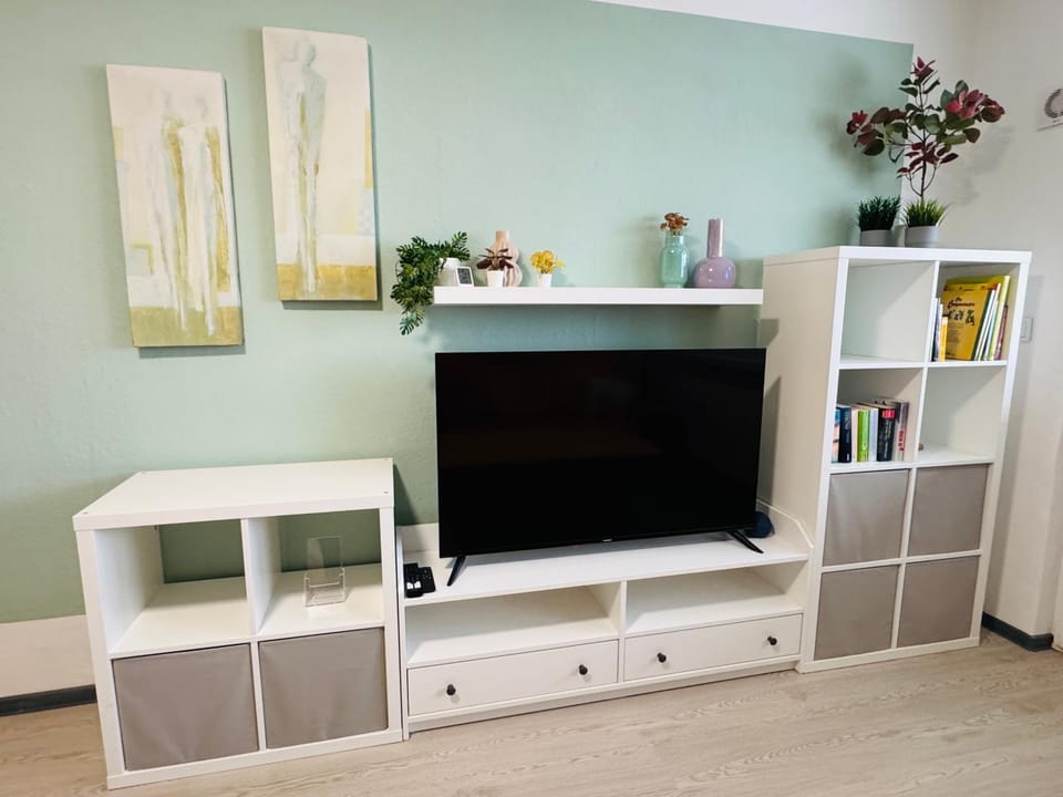 TV and multimedia