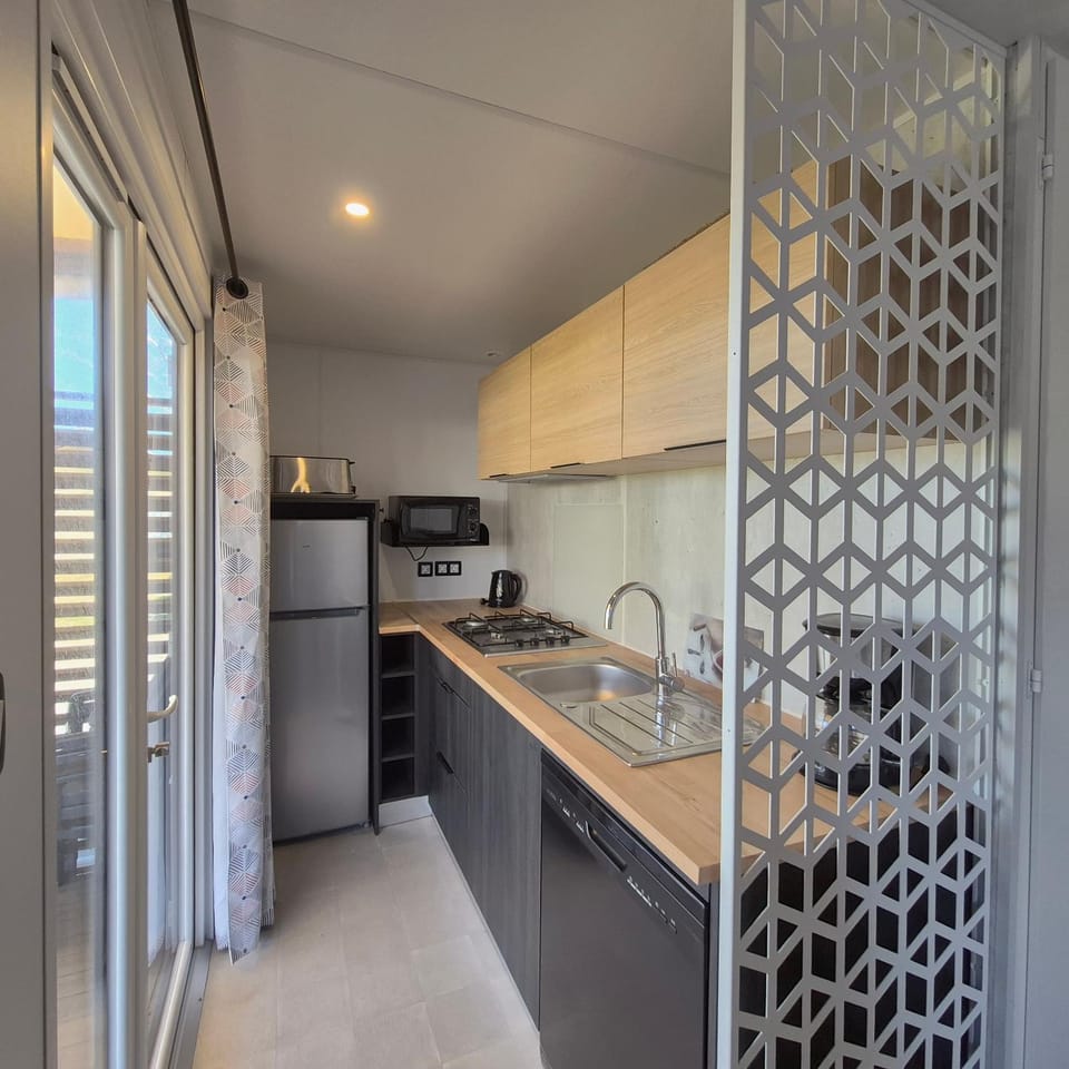 Kitchen or kitchenette, dishwasher, stove
