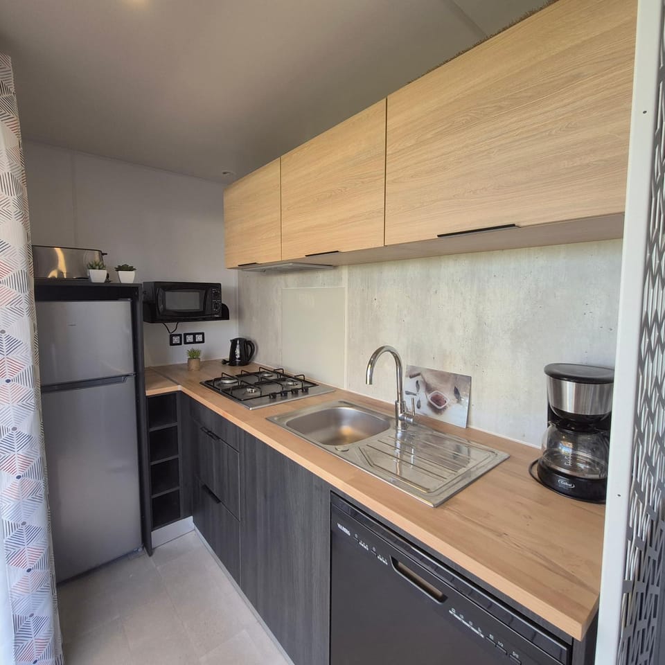 Kitchen or kitchenette, dishwasher, stove, toaster