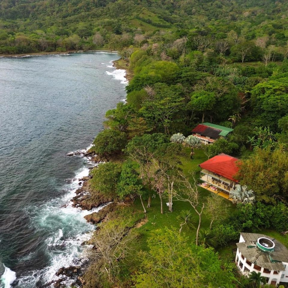 Bird's eye view, Garden view