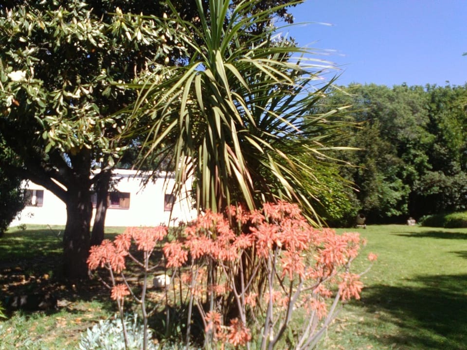 Estancia San Carlos Inn in Cordoba Province
