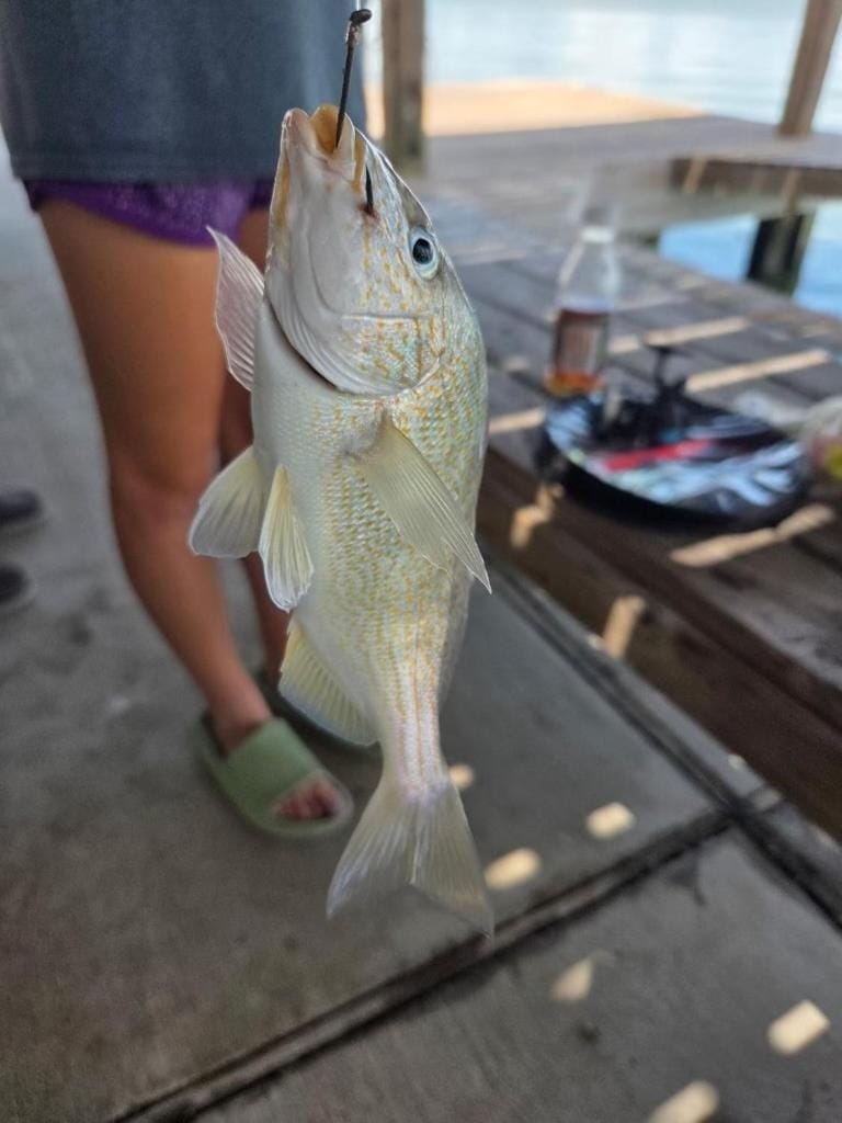 Activities, Fishing, On site
