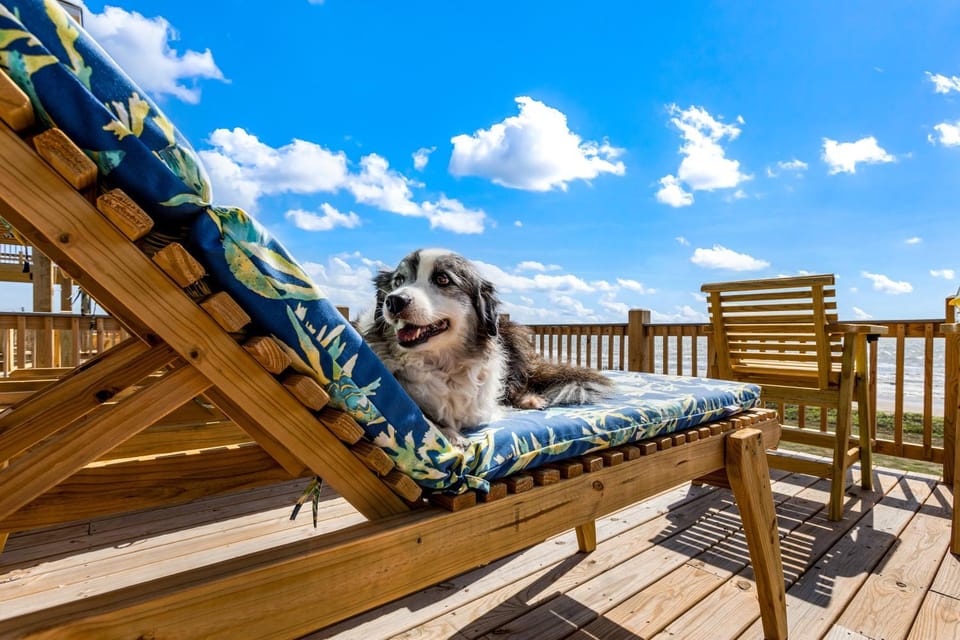 Beachfront 10BR Escape | 2 Homes, Decks & Game Room House in Bolivar Peninsula