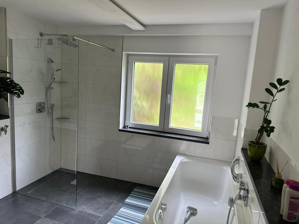 Grüne Oase Apartment in Chemnitz