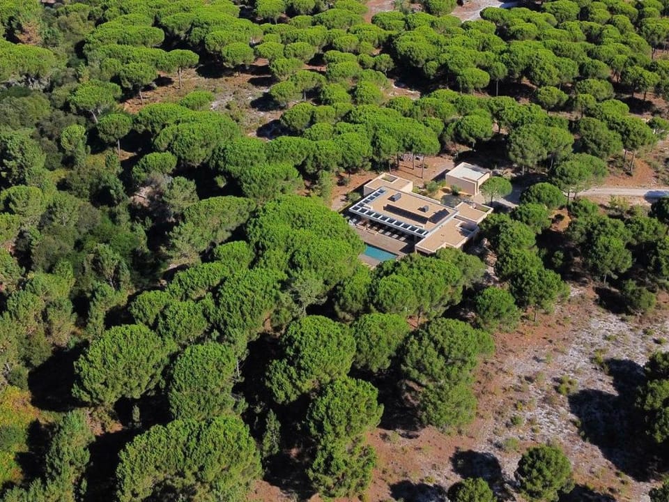 Muda Luxury Estate near Comporta Villa in Setubal District