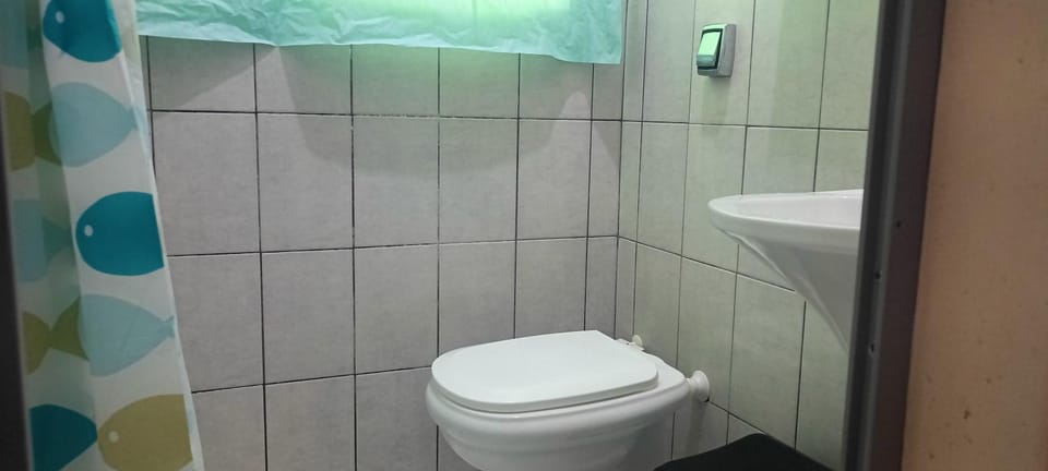Shower, Toilet, Bathroom, bidet