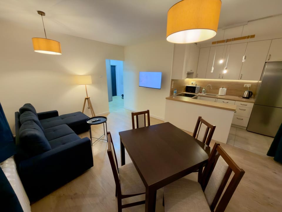 Living room, kitchen