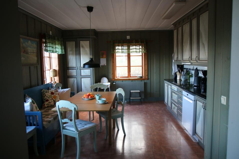 Kitchen or kitchenette, Dining area, oven, stove