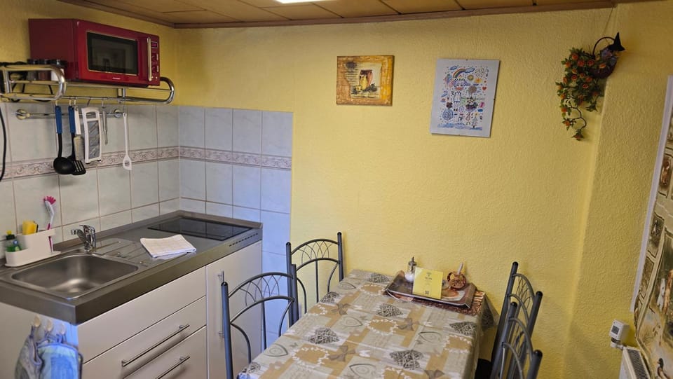 Kitchen or kitchenette, Dining area, dishwasher, stove
