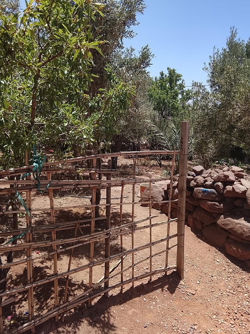 Gîte Chez habitant Vacation rental in Morocco