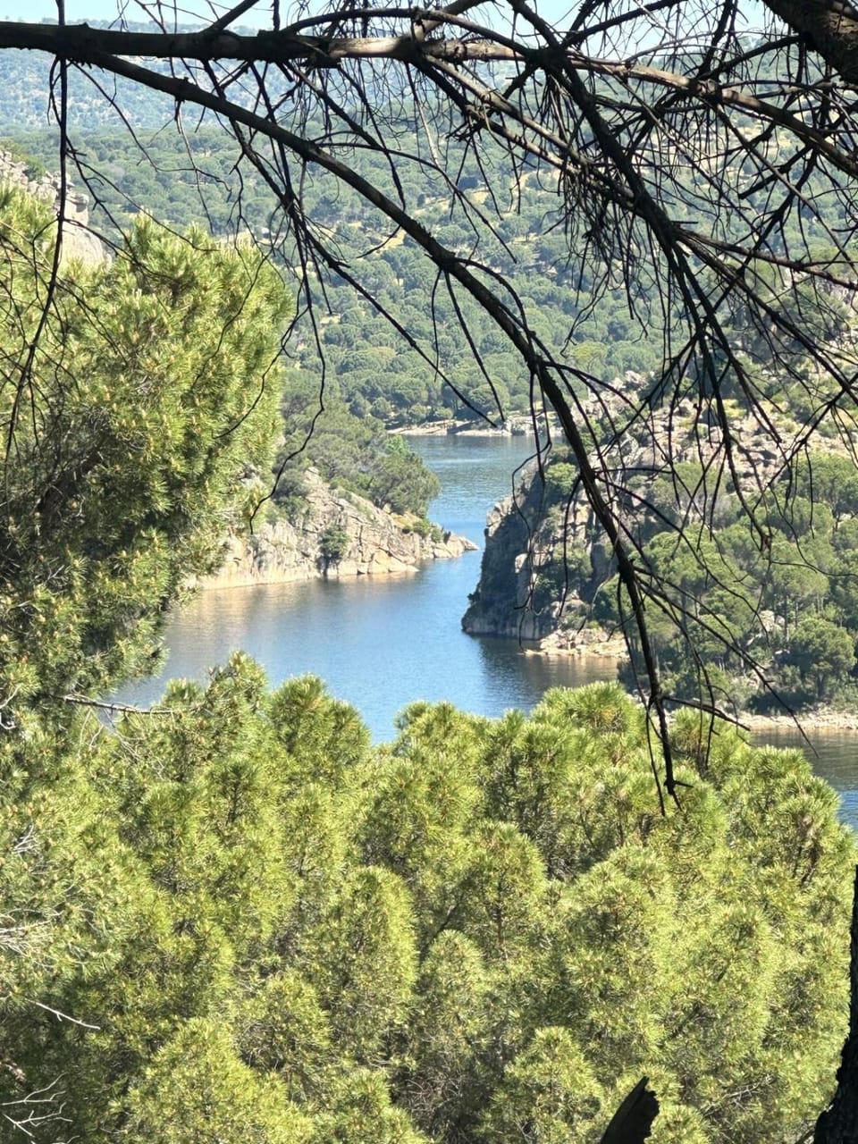 View (from property/room)