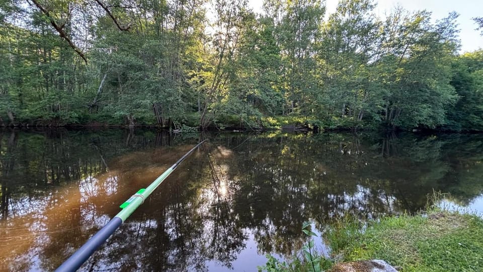 Natural landscape, Activities, River view