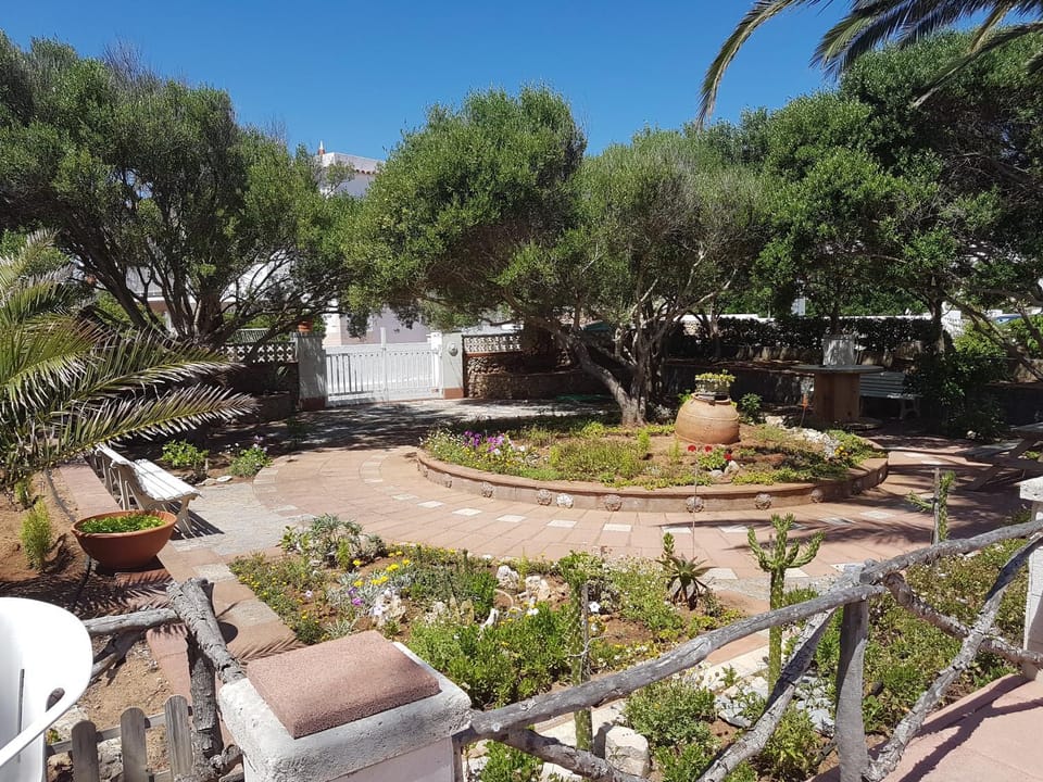 Natural landscape, Garden, Garden view