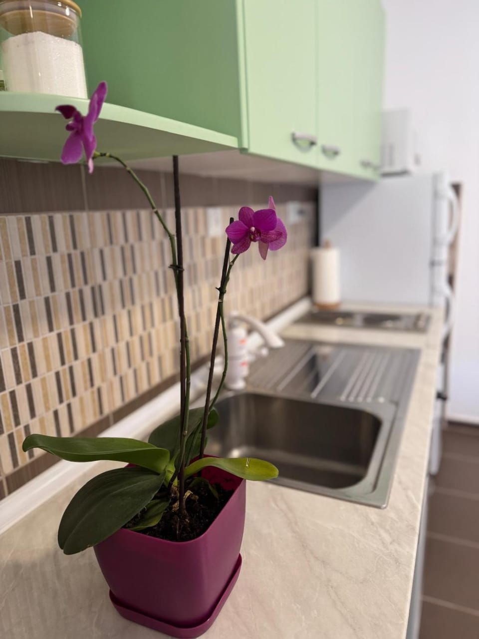 Chīsai Apartment Apartment in Bitola