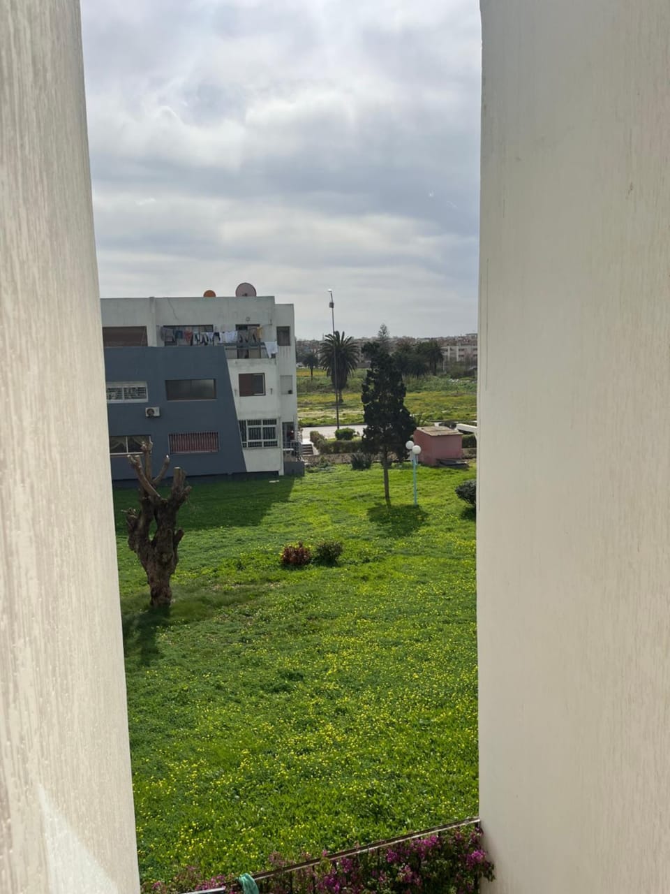 Garden view