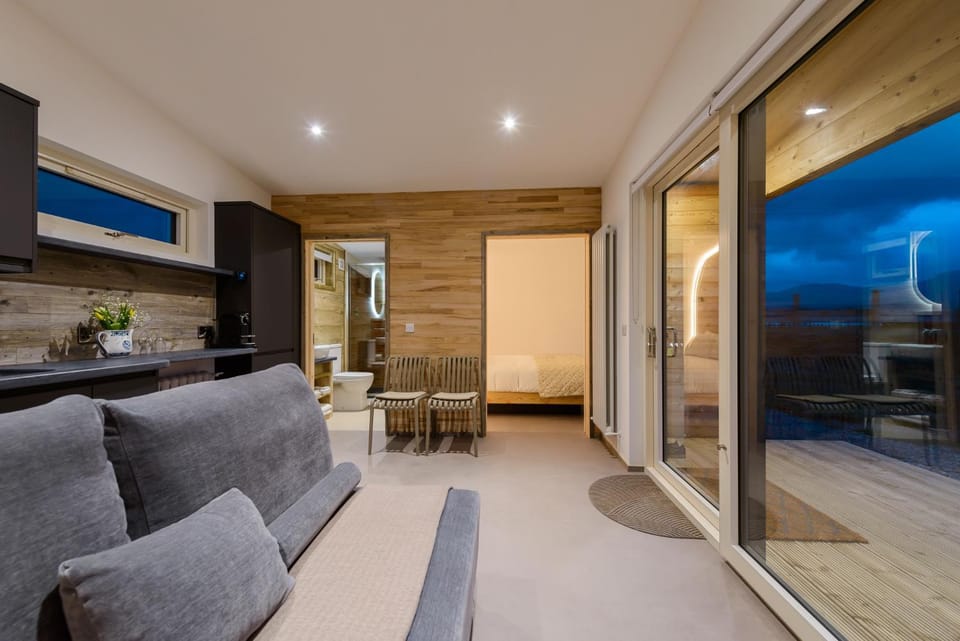 Living room, kitchen