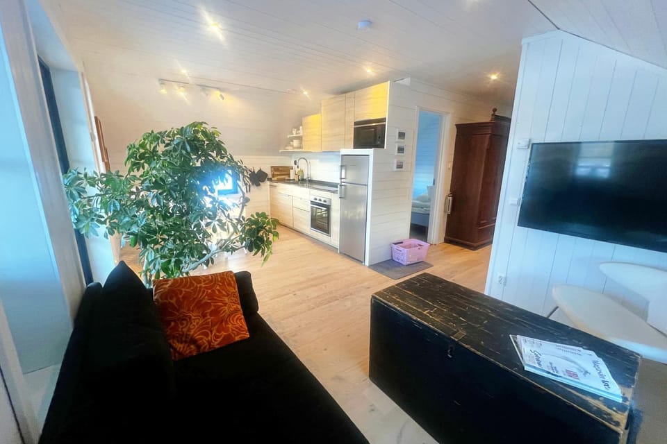 Living room, kitchen