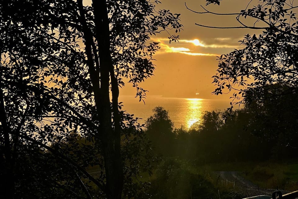 View (from property/room)