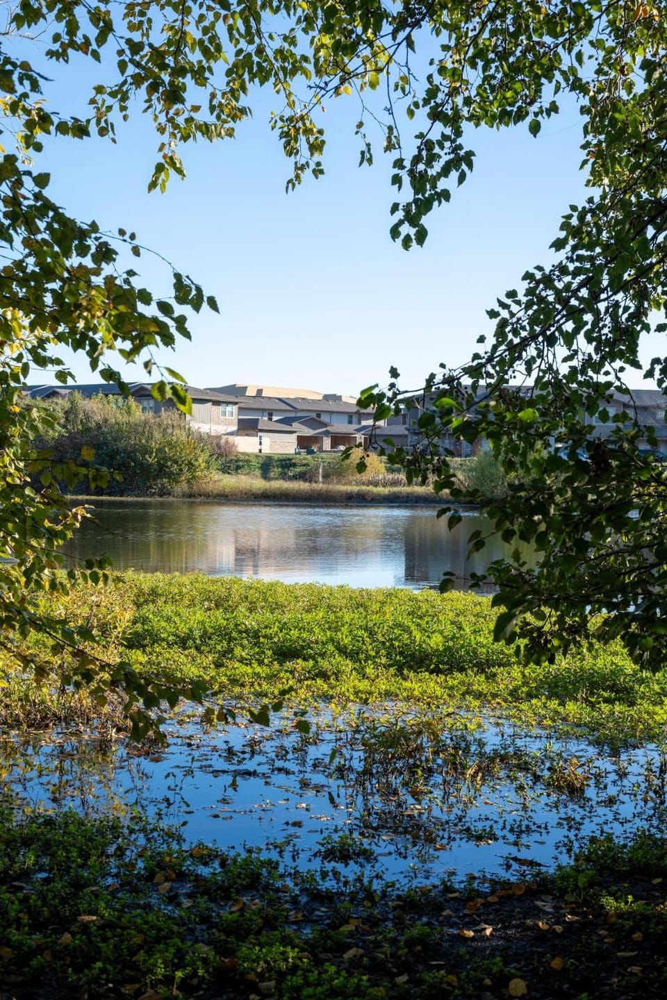 Scenic View by the Pond in Lexington, KY Apartment in Lexington
