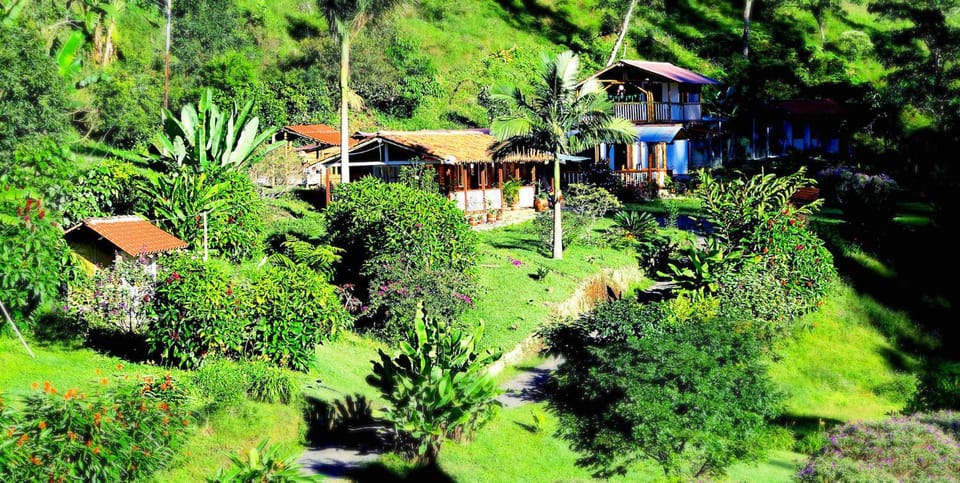 Property building, Natural landscape