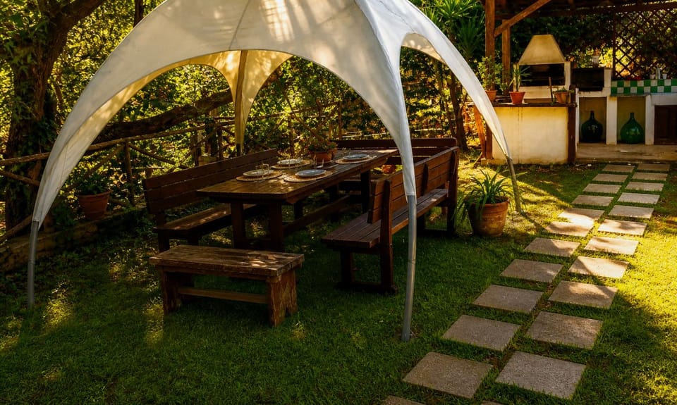 Restaurant/places to eat, Garden view