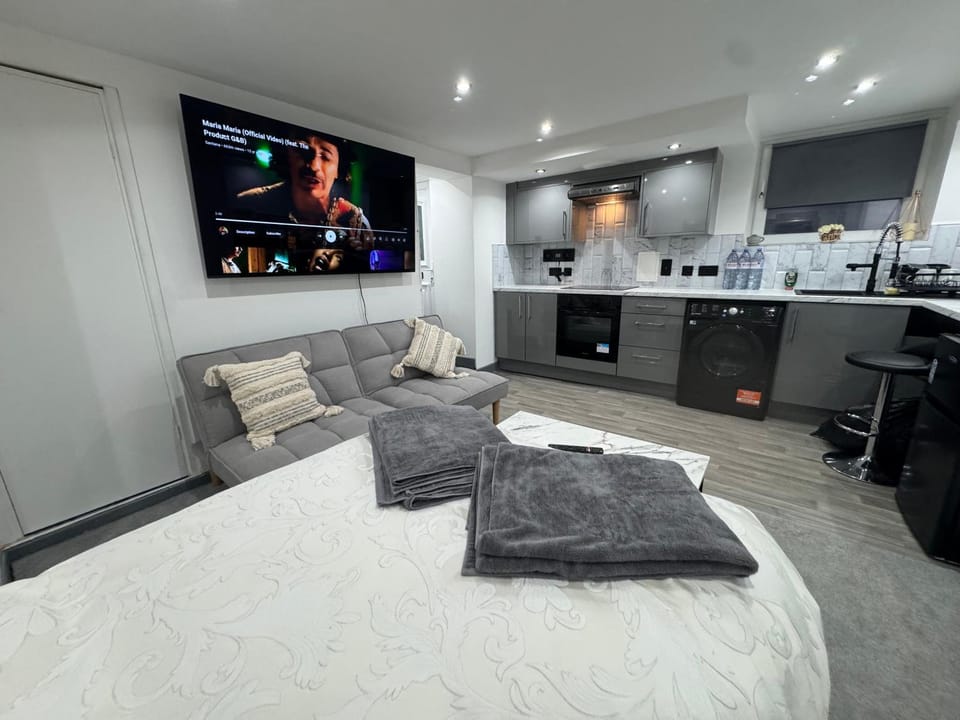 Bed, TV and multimedia, Kitchen or kitchenette, Living room, Photo of the whole room, Seating area, Bedroom, oven, stove, towels
